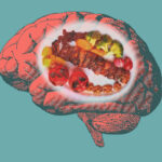 Engraving brain in retro orange color on turquoise green background