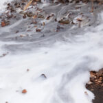 white firefighting foam over leaves on the ground