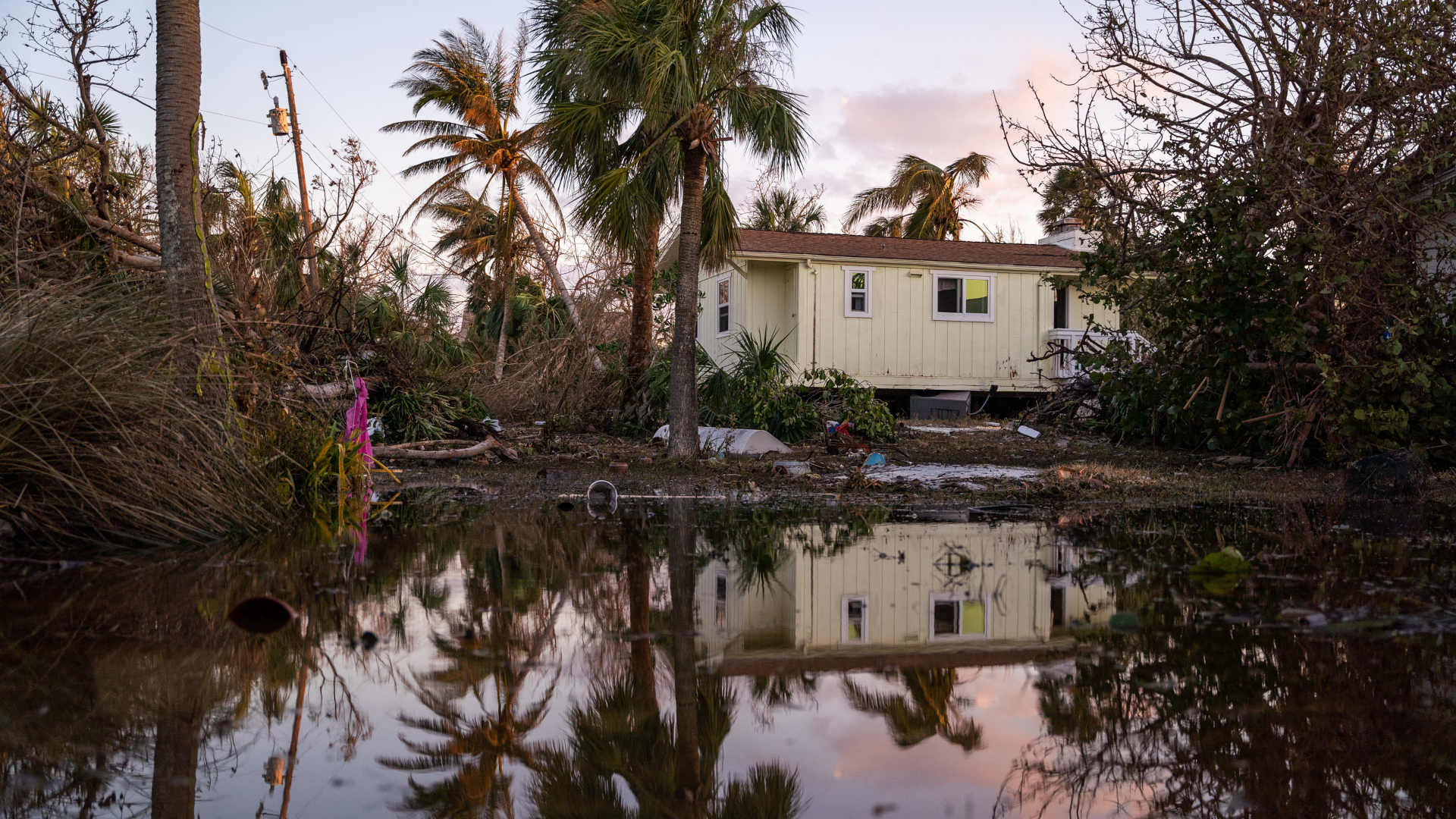 hurricane damaged home and palm trees