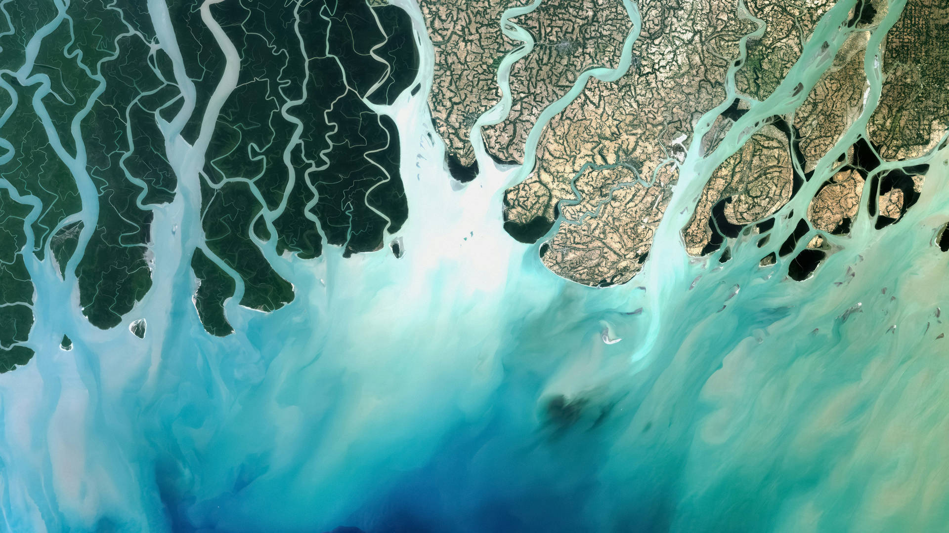 satellite view of land zig-zagged by rivers emptying into the Bay of Bengal
