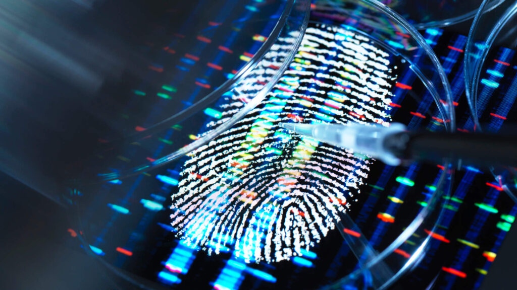 Conceptual image illustrating genetic research. A human finger print with a DNA (deoxyribonucleic acid) profile underneath a human sample being pipetted into a petri dish.