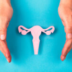 Female reproductive system made of paper and hands isolated on blue background