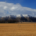 Rural winter farm scene with snow dusted mountain in the background.