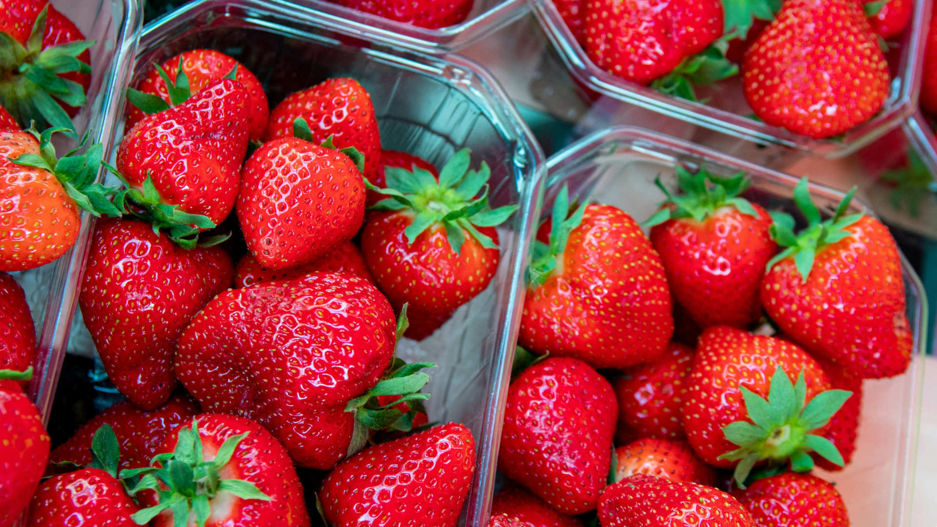 strawberries in plastic cartons