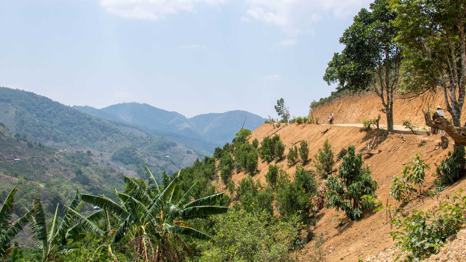 In Myanmar, Illicit Rare Earth Mining Is Taking a Heavy Toll