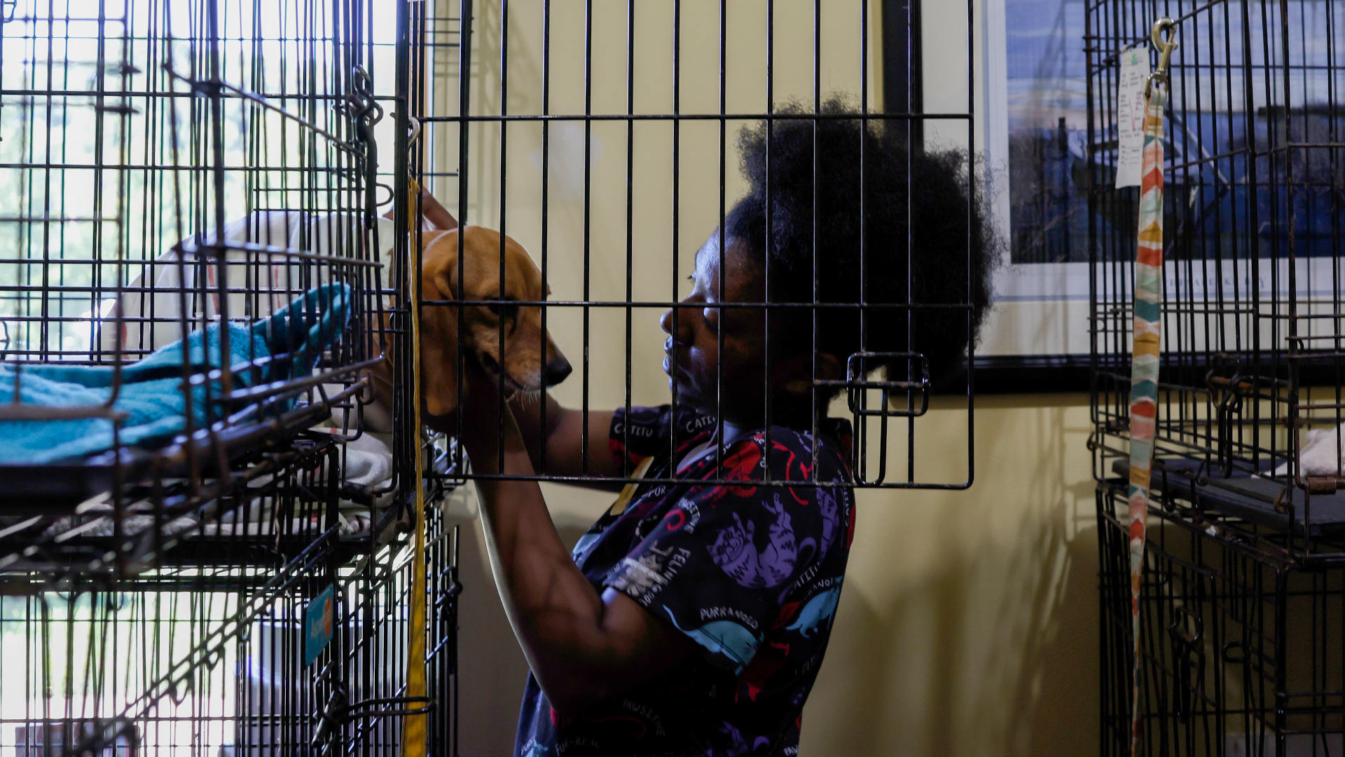 Excerpt: When the Ethics of Animal Research Hit Home