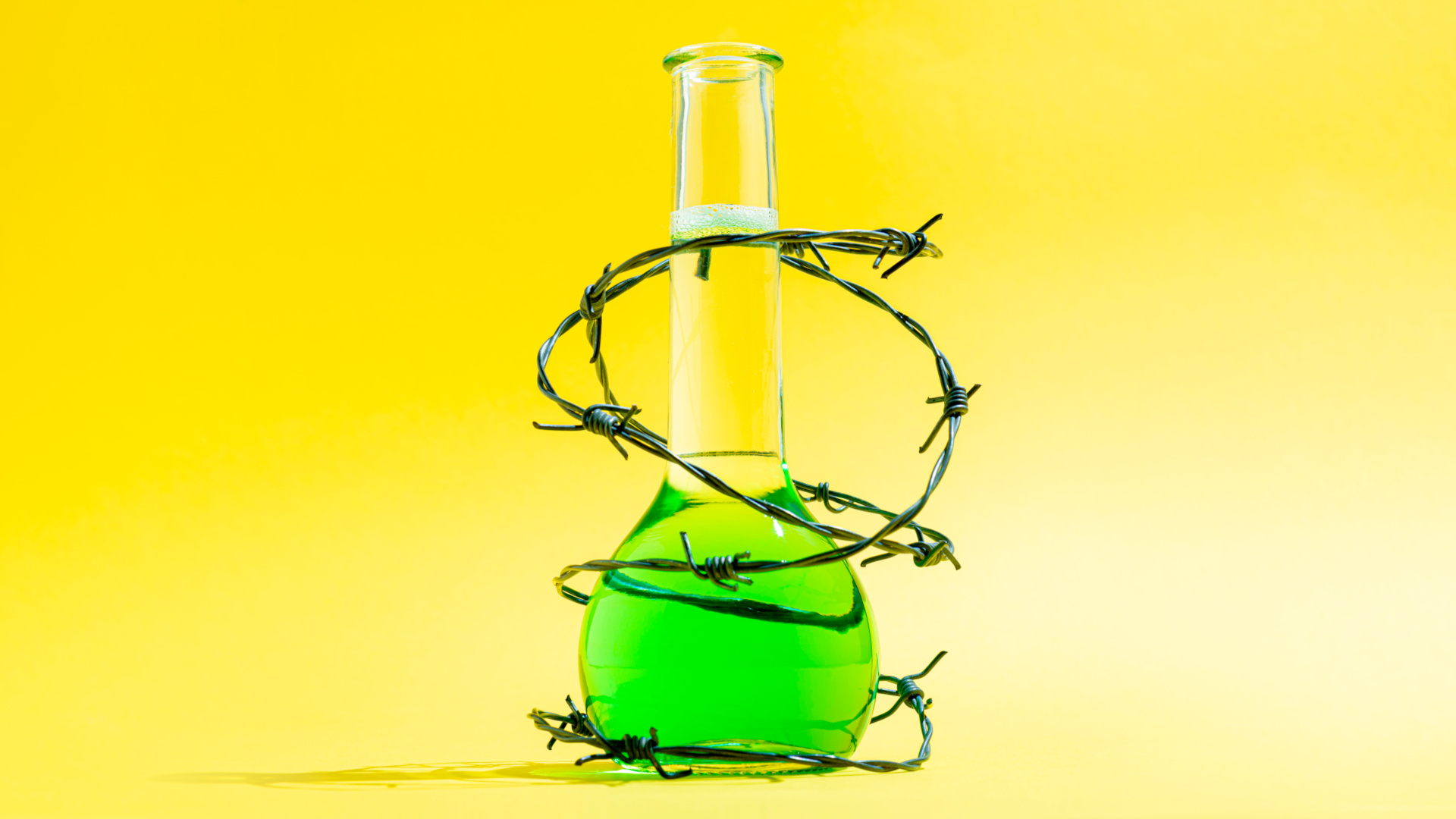 Barbed wire around a Beaker on yellow background.