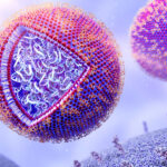 Illustration of nanoparticles containing mRNA (messenger ribonucleic acid), which could become an effective vaccine strategy for cancers. The liposomes in this illustration are spherical vesicles with a bilayer structure, which can transport therapeutic agents through biological membranes, a concept widely used in nanotechnology and pharmacology