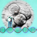 Couple standing on double helix model looking an embryo