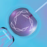 In vitro fertilization, IVF macro concept