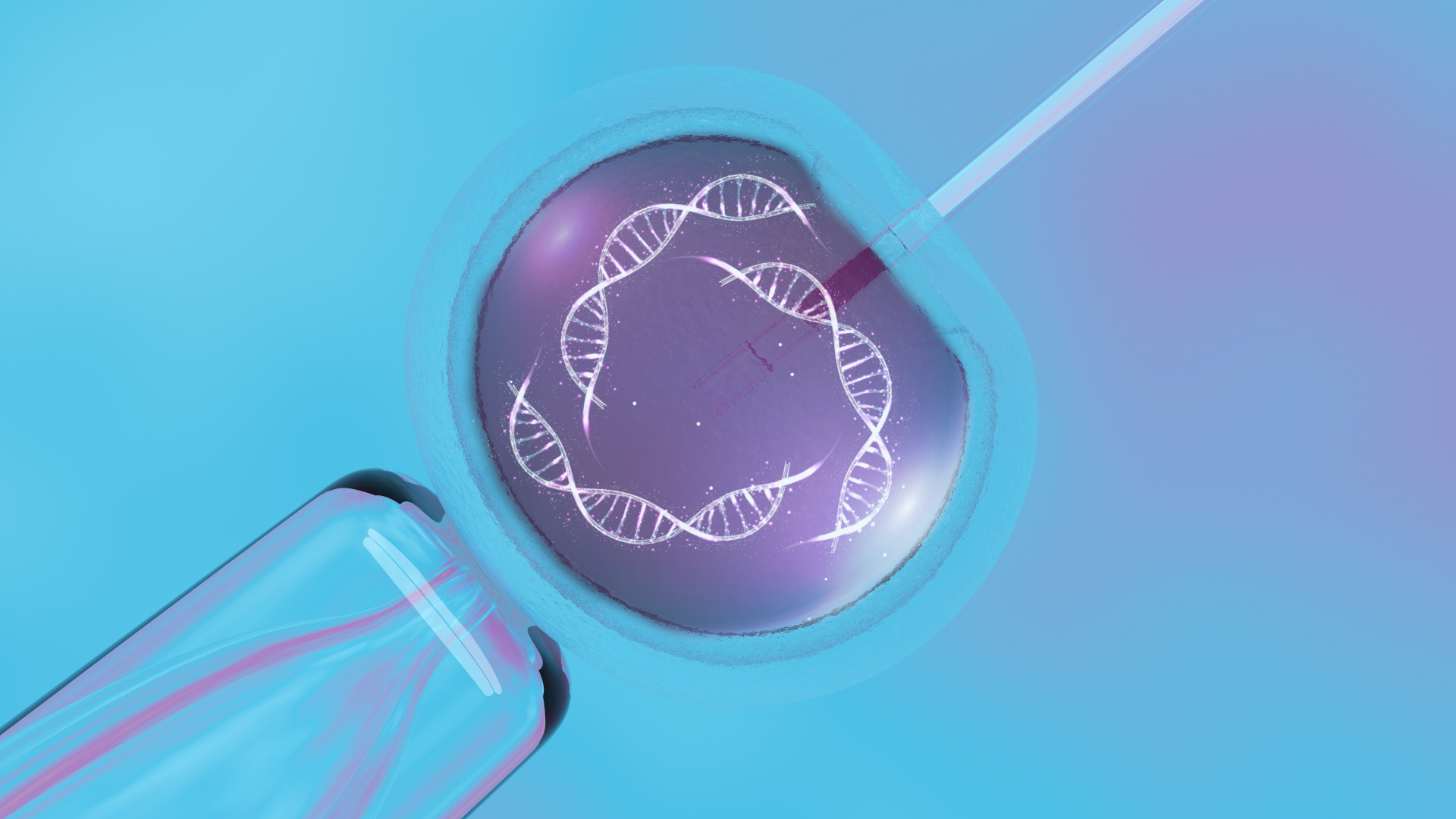 In vitro fertilization, IVF macro concept