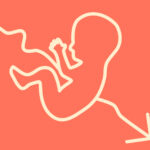 Global fertility rate decline icon graphic illustration.